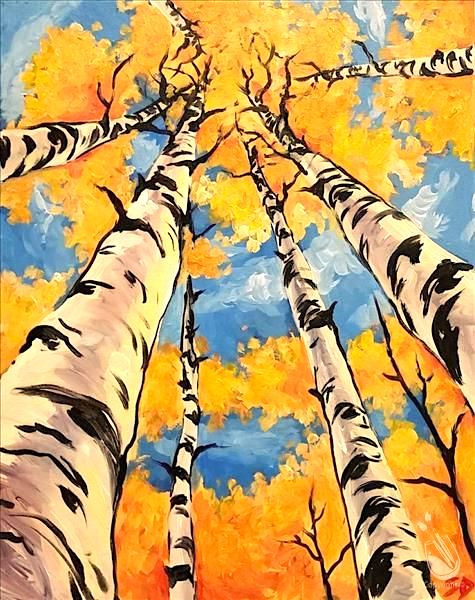 Autumn Birch Trees